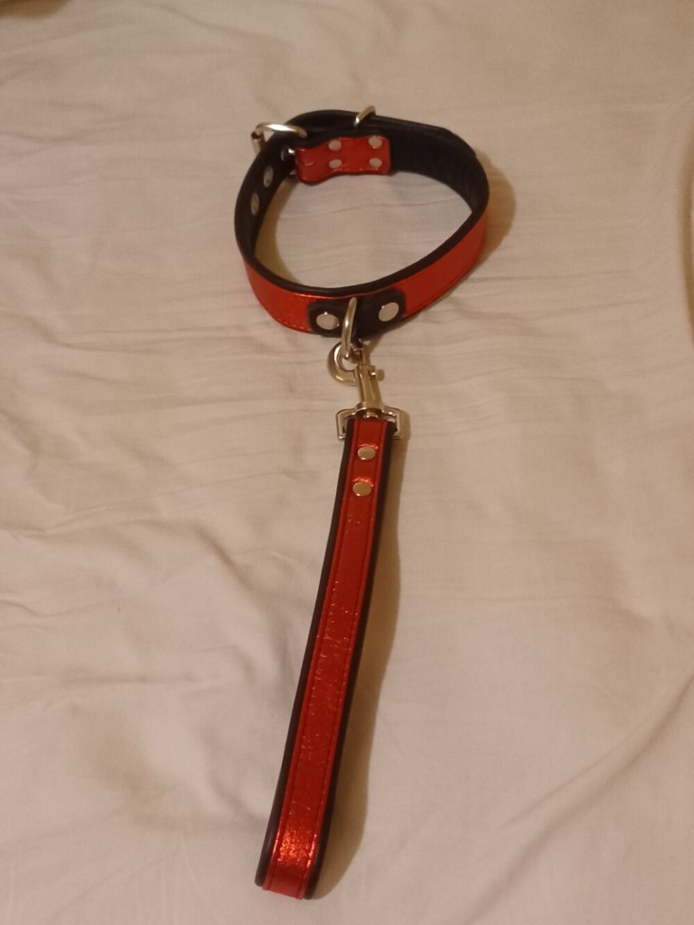BDSM Padded Leather Collar with Leash